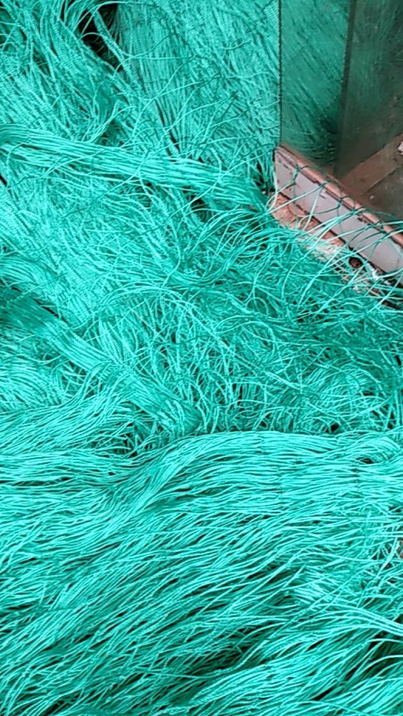 江苏精品农用工具爬藤网养殖网防鸟网量大价优欢迎咨询