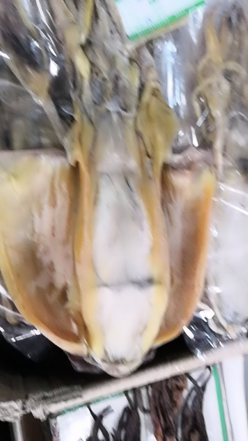 瑶柱墨鱼