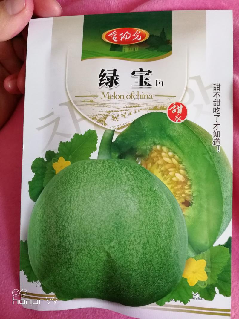 【优质】绿宝甜瓜种子脆甜多汁香味浓郁好吃好卖