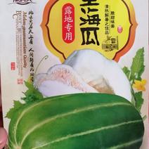 王海瓜甜瓜种子墨绿色带条纹甜瓜