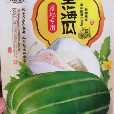 王海瓜甜瓜种子墨绿色带条纹甜瓜