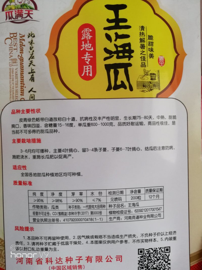 王海瓜甜瓜种子墨绿色带条纹甜瓜