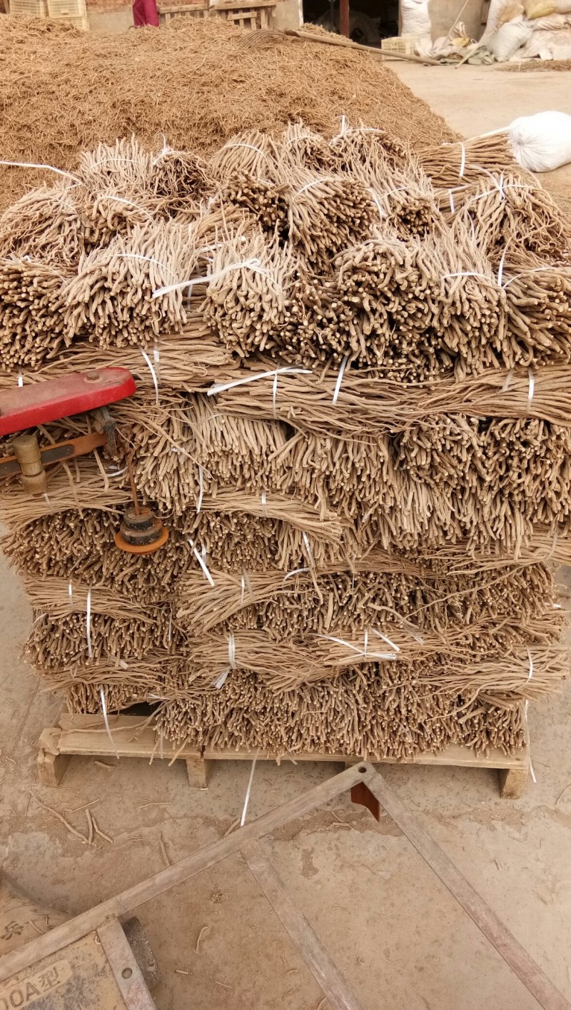 怀牛膝河南焦作怀庆府怀药材牛夕牛七中草药