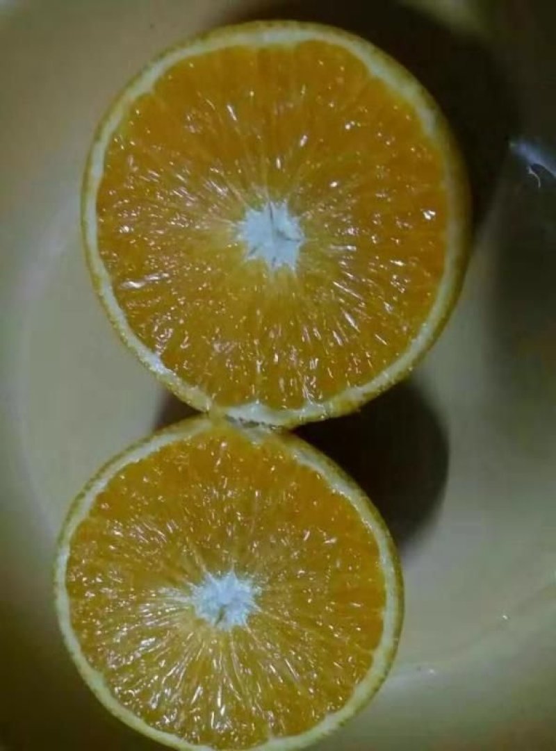 永安冰糖橙支持微商电商一件代发