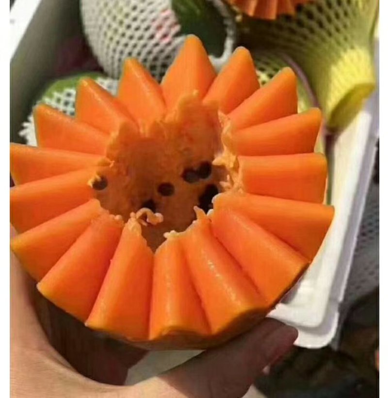 冰糖红心木瓜