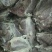 牛肉统货精修无油，熟度高