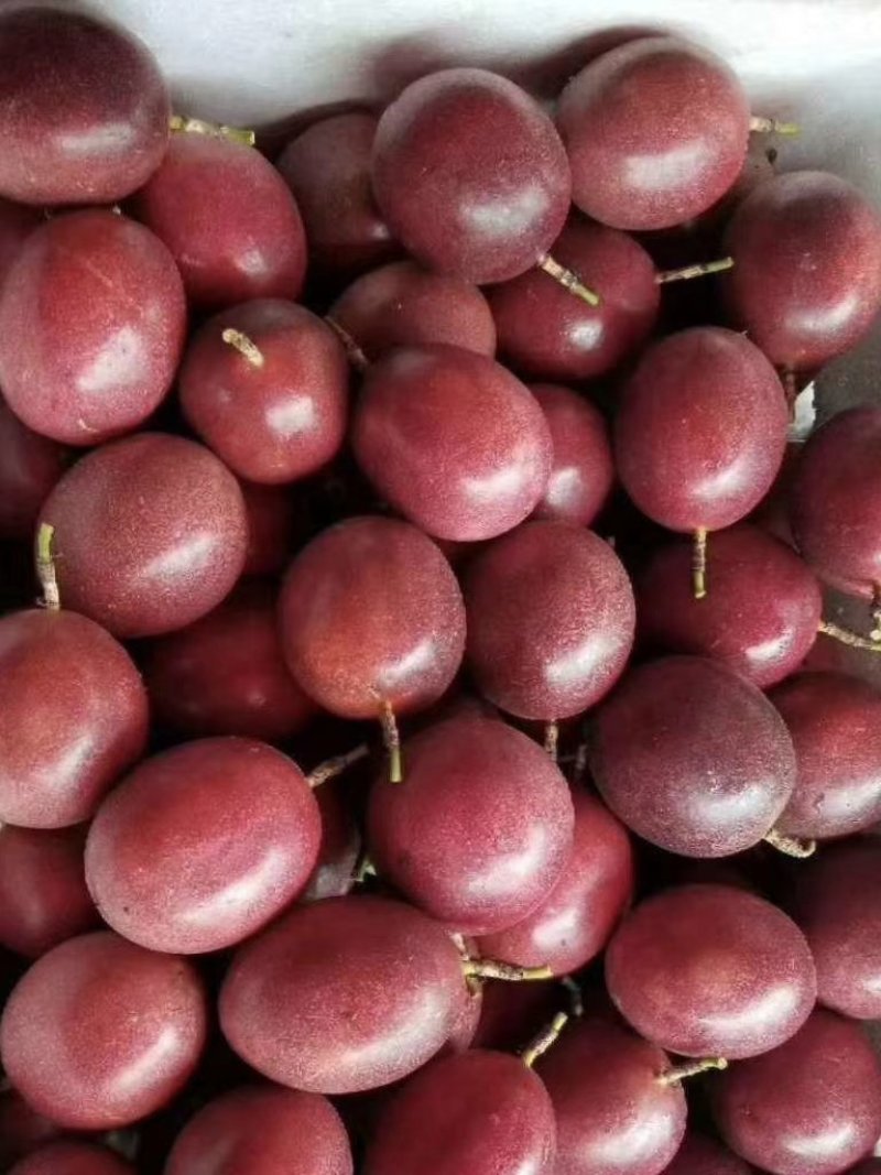 百香果