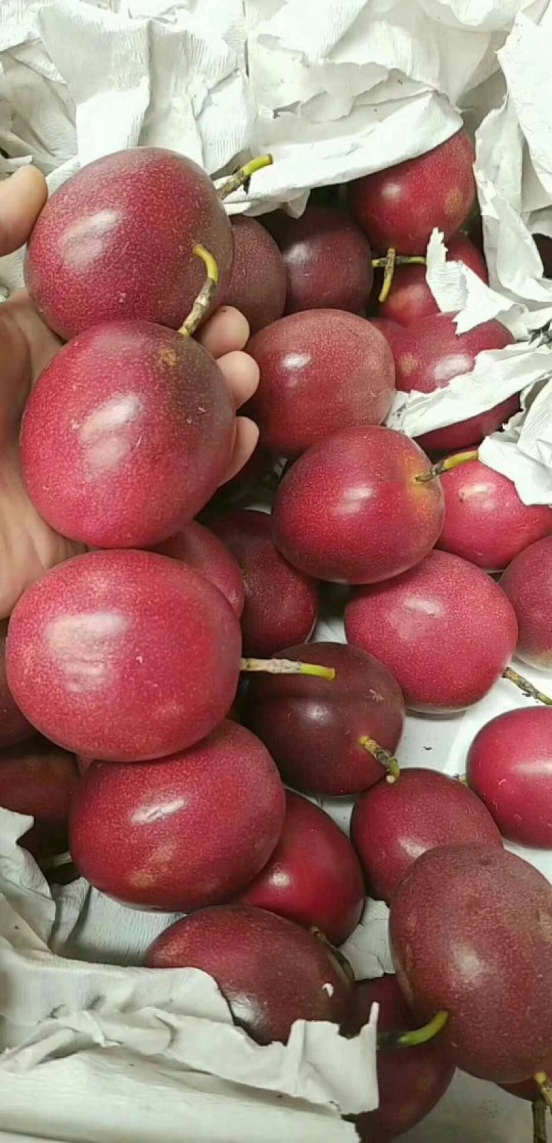 百香果