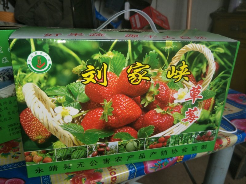刘家峡奶油草莓欢迎批发商前来采购