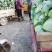 京丰一号加工厂包菜地头装货500亩基地种植