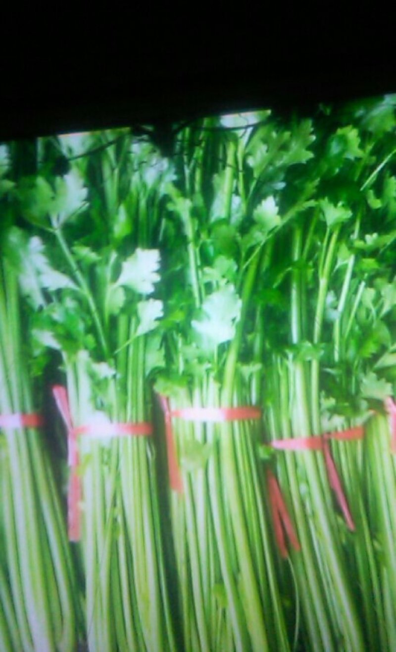 本地西芹铁杆芹菜上市了..有需要的请联系