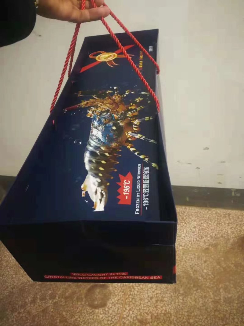 古巴澳龙大龙虾送礼盒