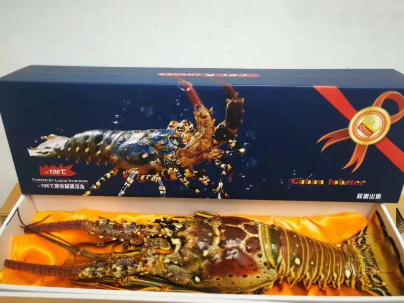 古巴澳龙大龙虾送礼盒