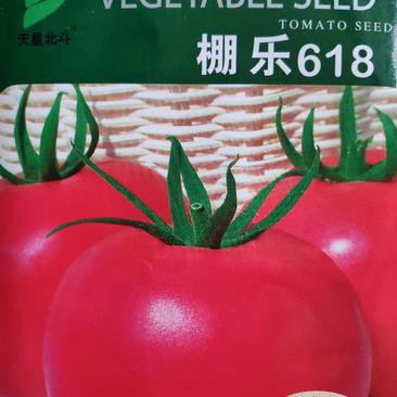 棚乐618西红柿种子