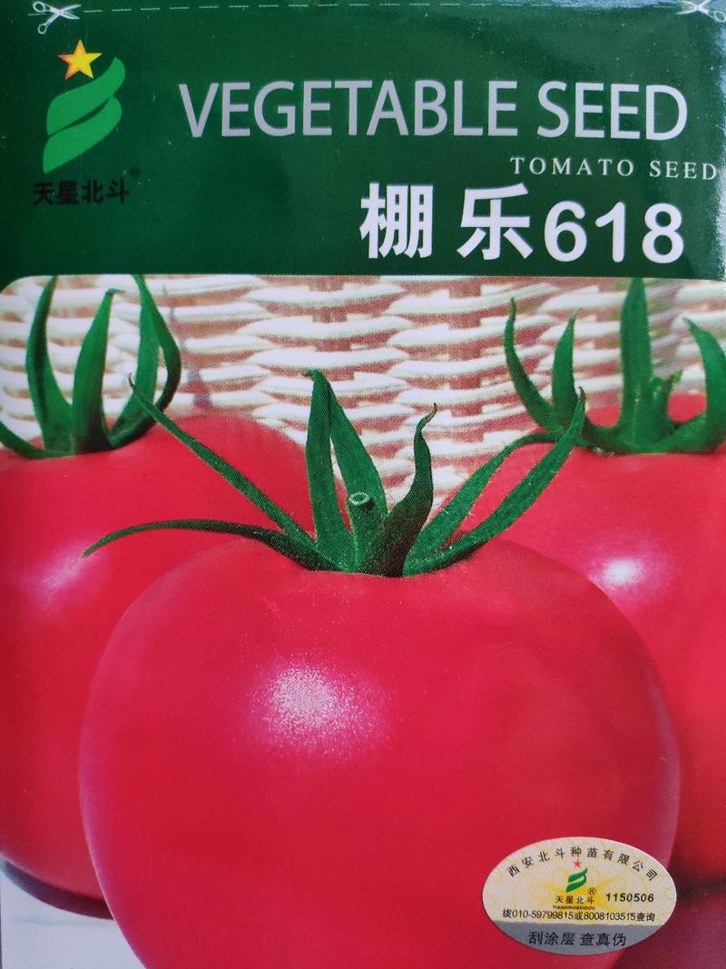 棚乐618西红柿种子