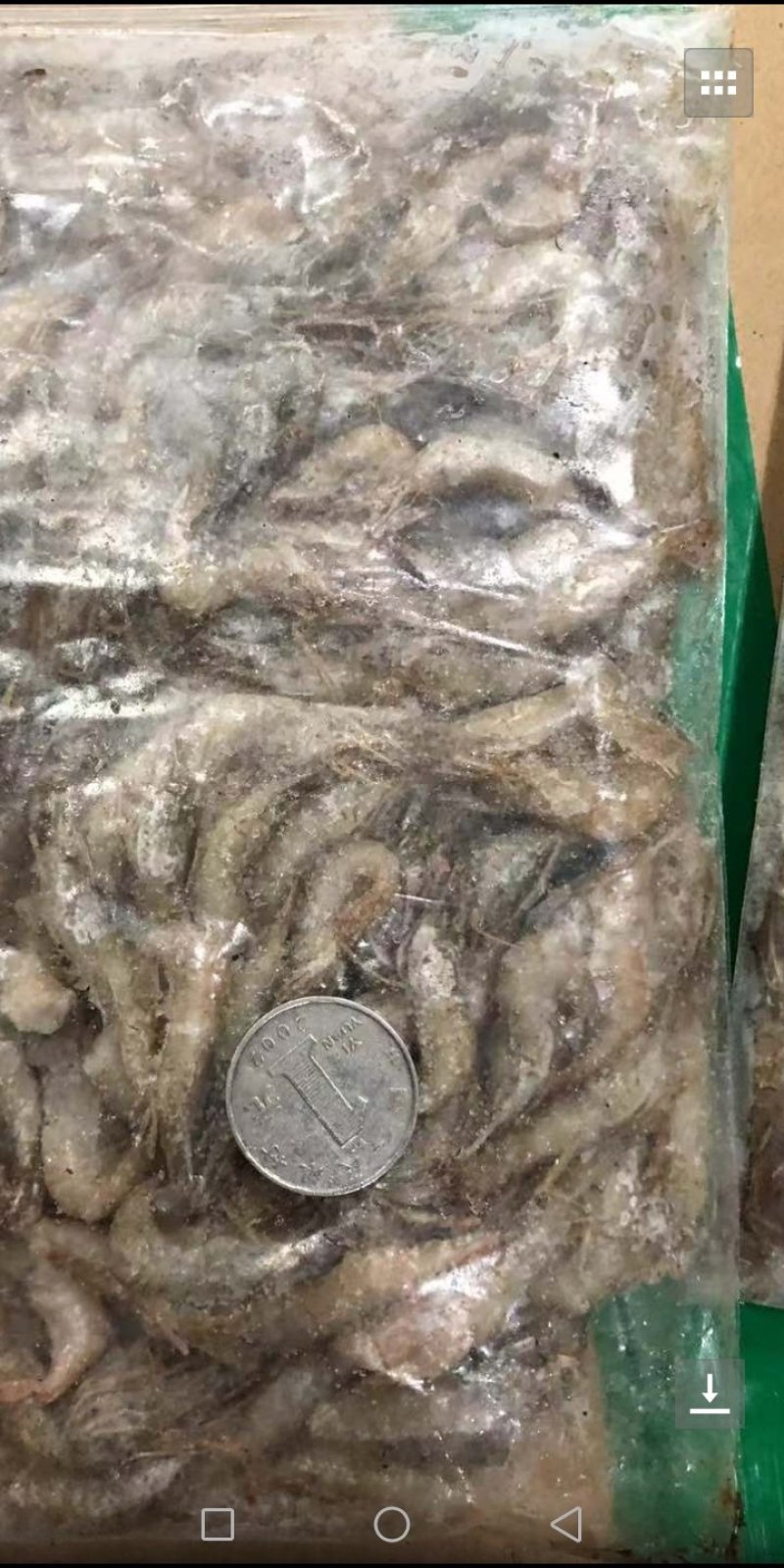单冻公鱼不挂冰衣8一11公分14000元一吨