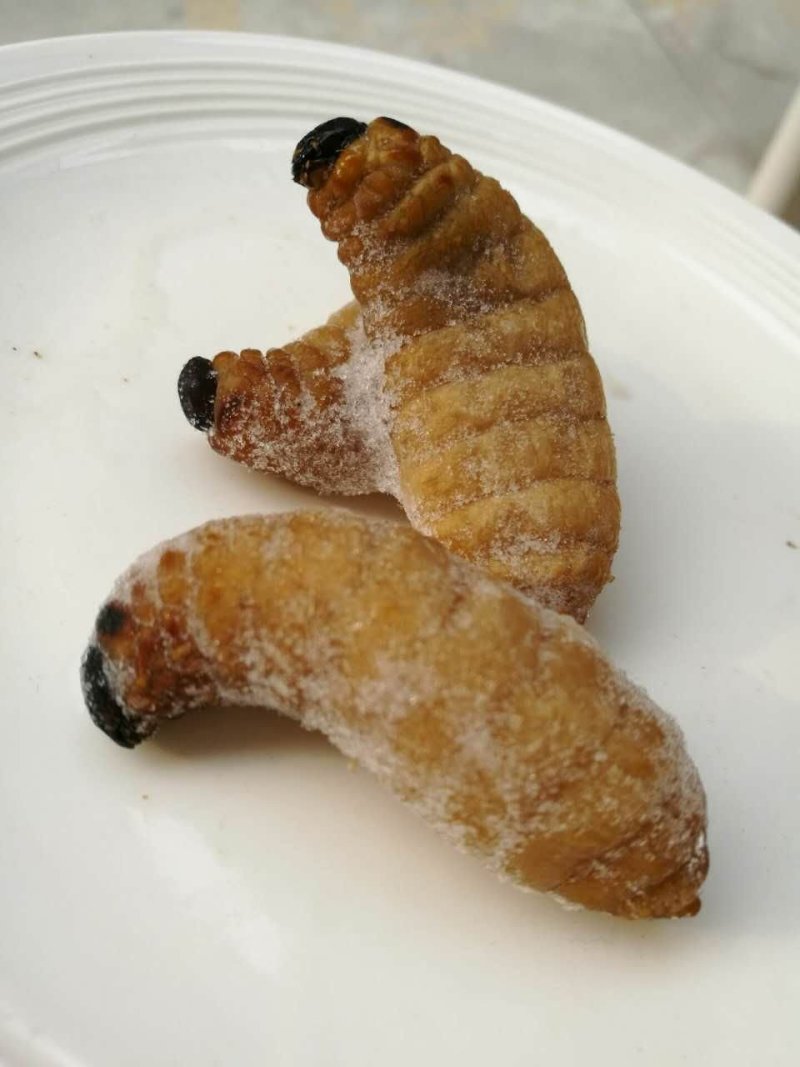 虫蛹