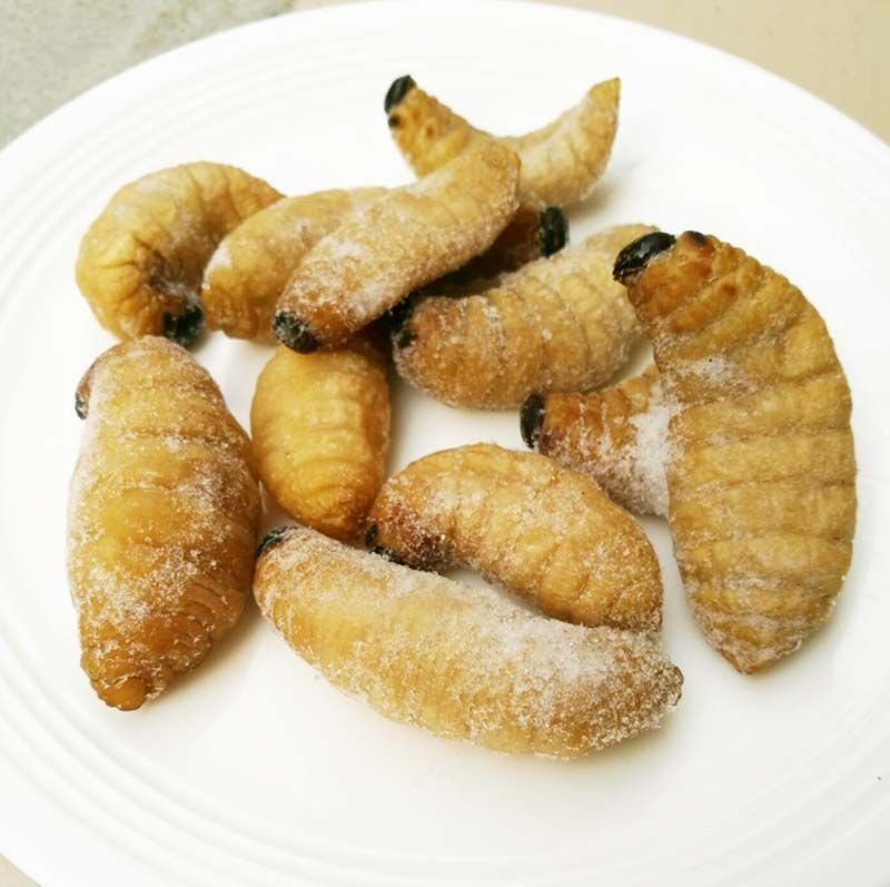虫蛹