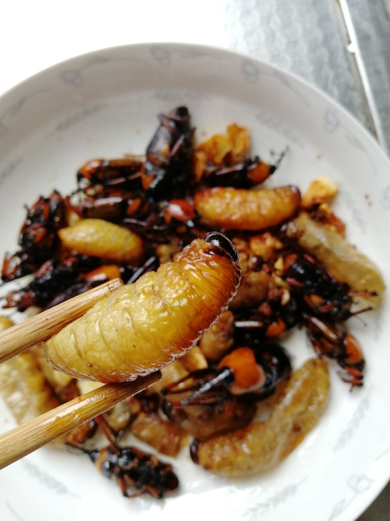 虫蛹