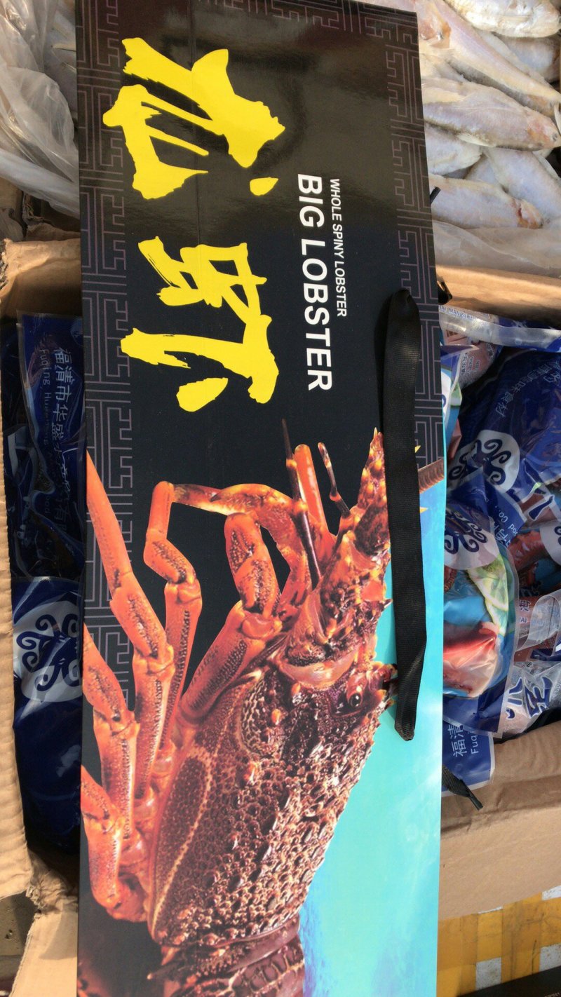海参鲍鱼虾皮烤虾带鱼大鱿鱼