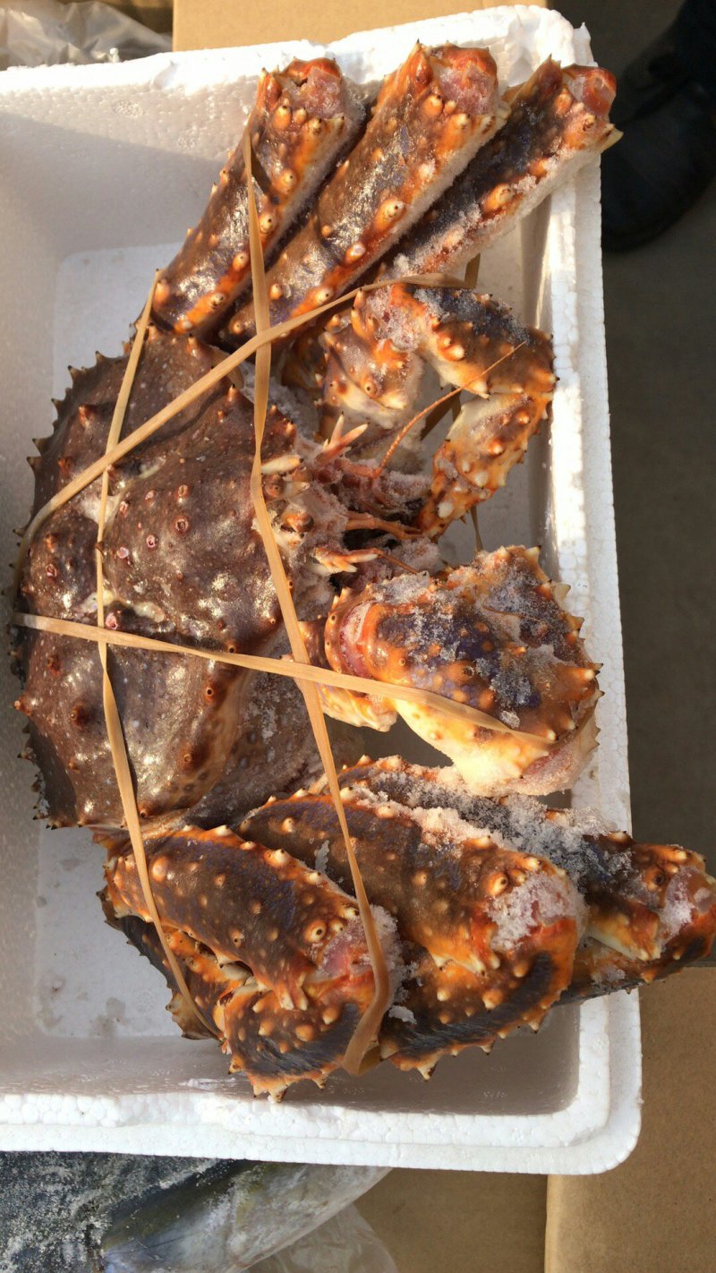 海参鲍鱼虾皮烤虾带鱼大鱿鱼