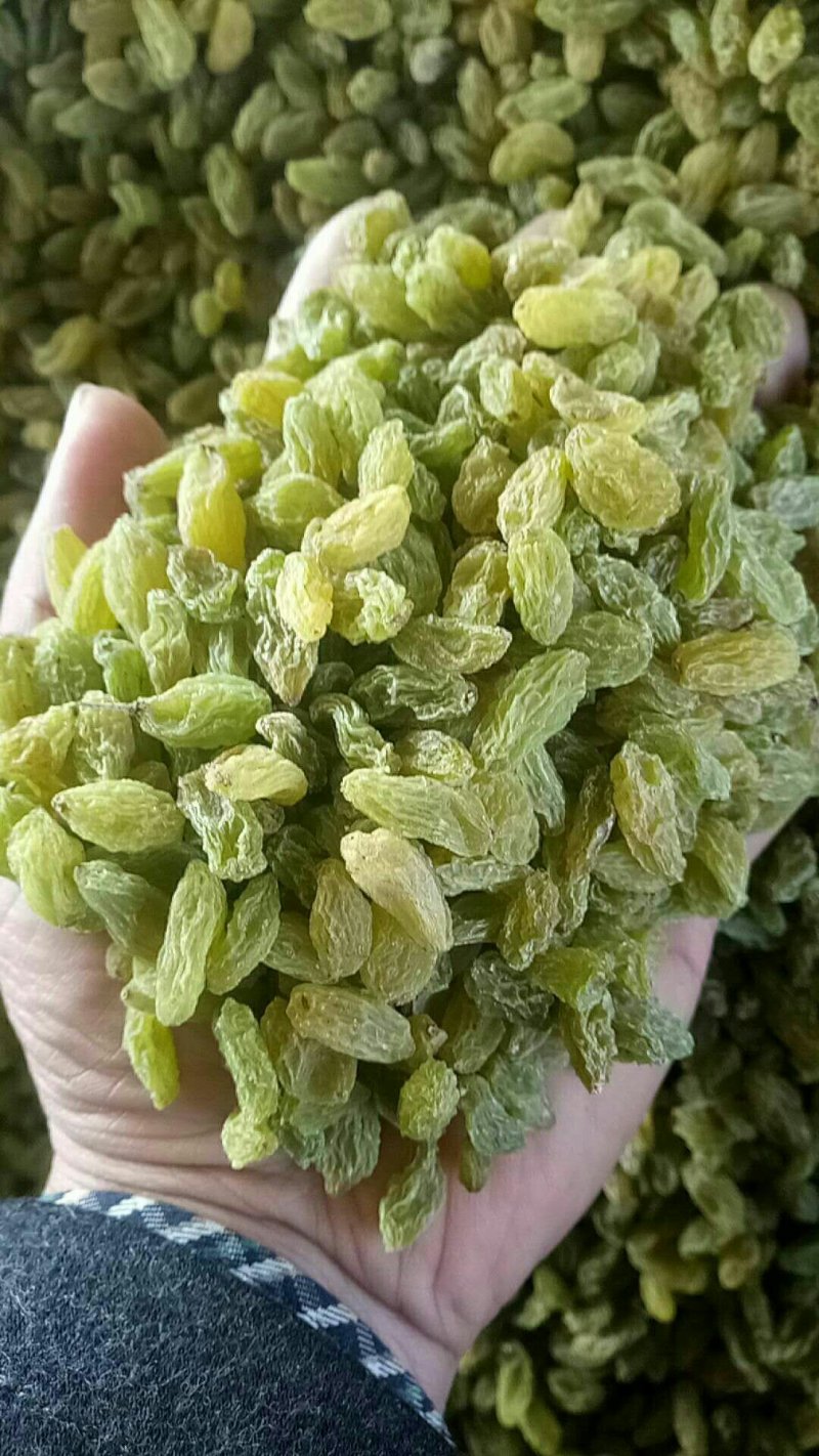 吐鲁番一级绿葡萄干