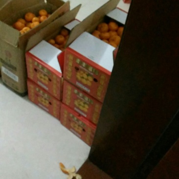 南丰蜜桔