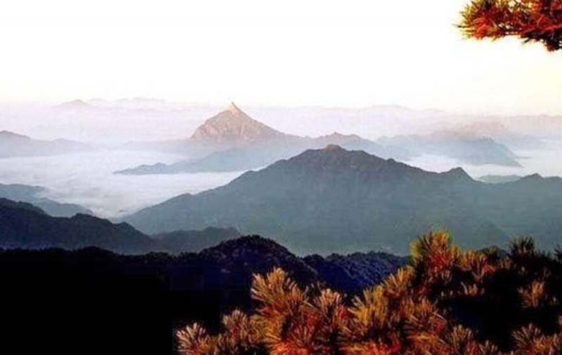岳西高山茶叶，接客的好茶，香味淳朴，