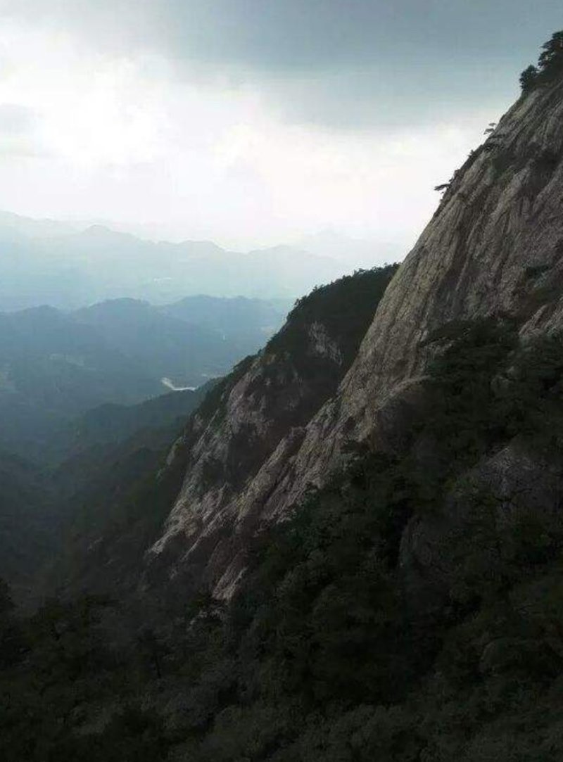 岳西高山茶叶，接客的好茶，香味淳朴，