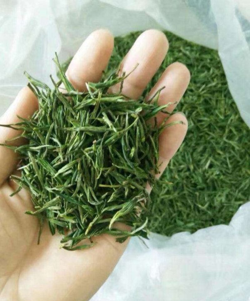 岳西高山茶叶，接客的好茶，香味淳朴，