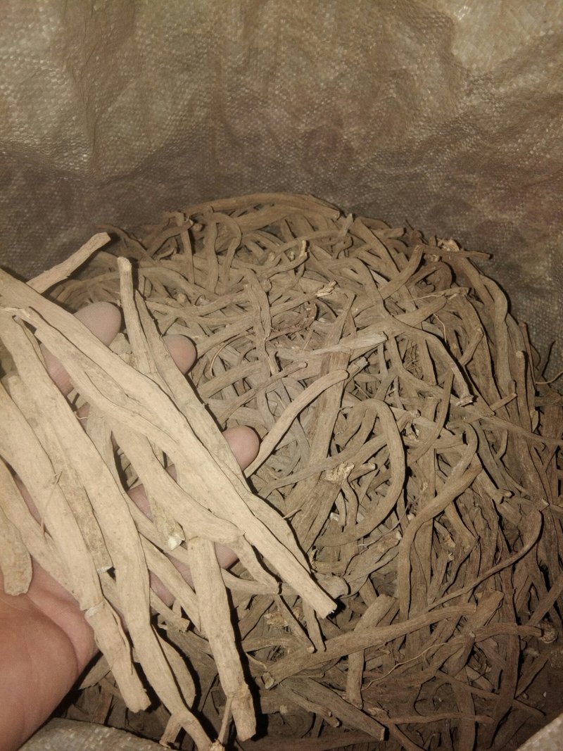 升麻
