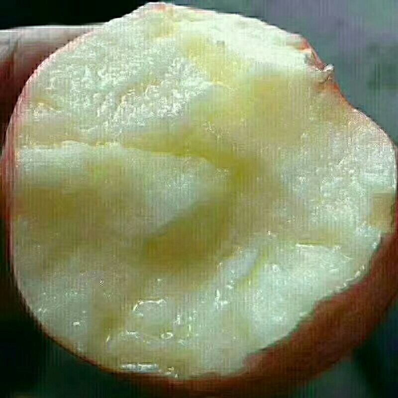 萍果