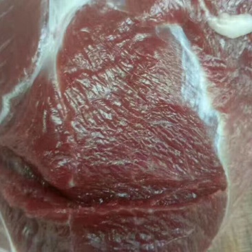 辣木猪肉