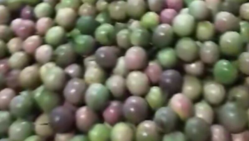 百香果