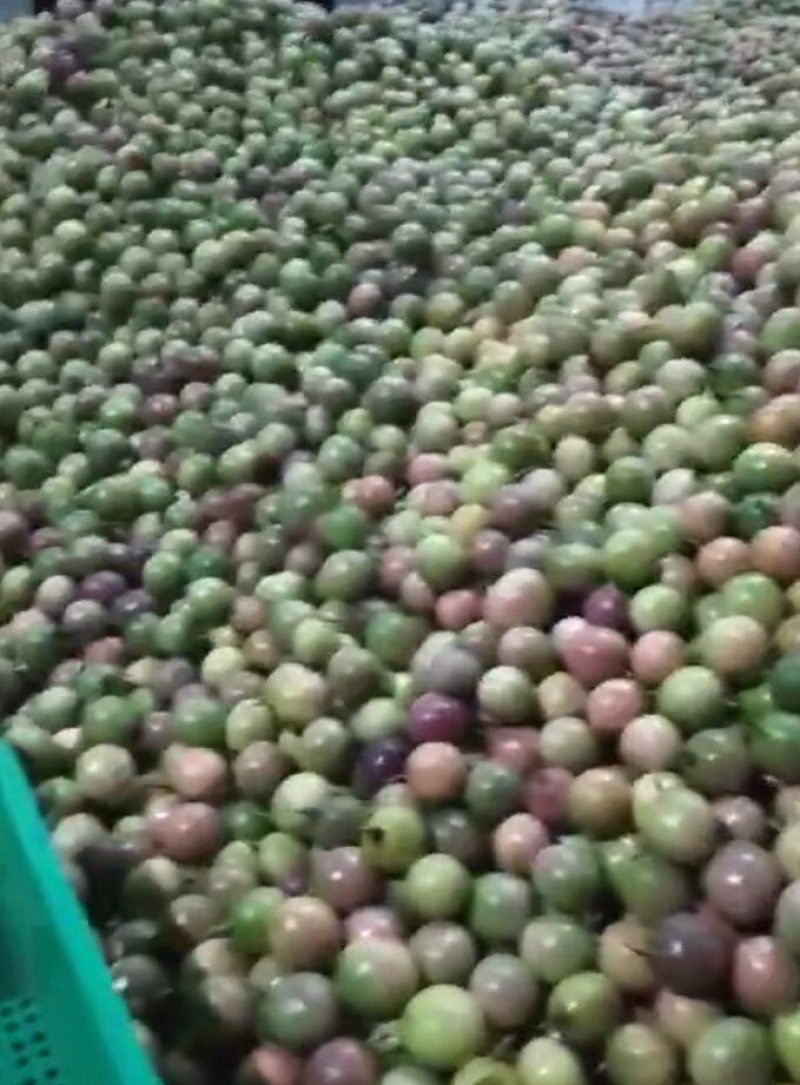 百香果