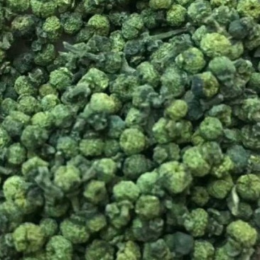 优质吴优质吴茱萸苗茶辣苗,米腊子,成活率高