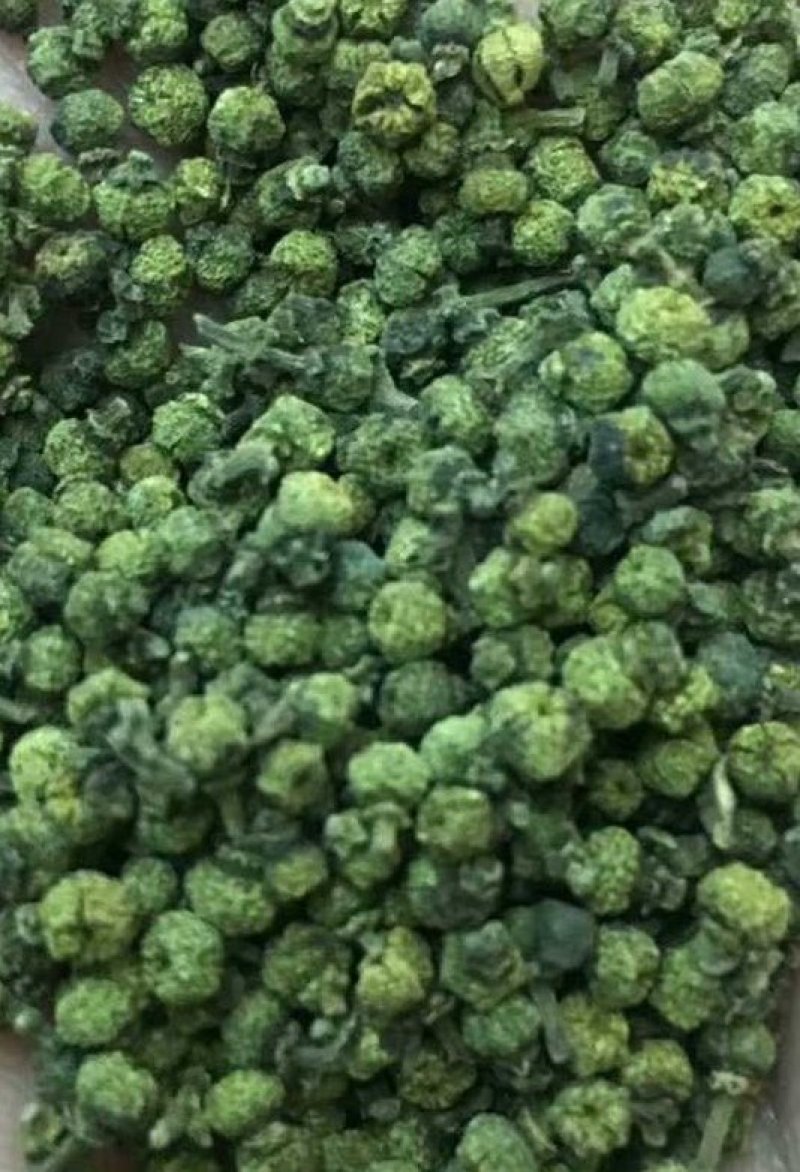 优质吴优质吴茱萸苗茶辣苗，米腊子，成活率高