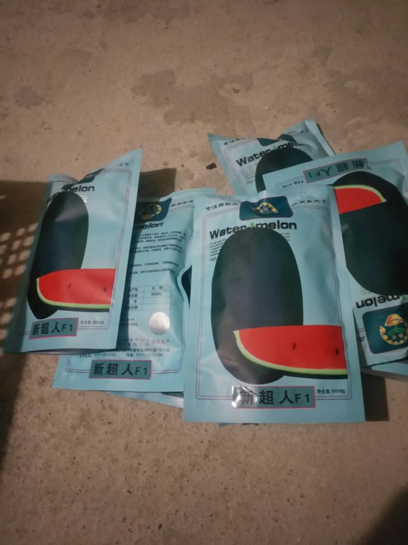 常年供应西瓜嫁接苗，辣椒苗，茄子苗，香瓜苗等其他种苗