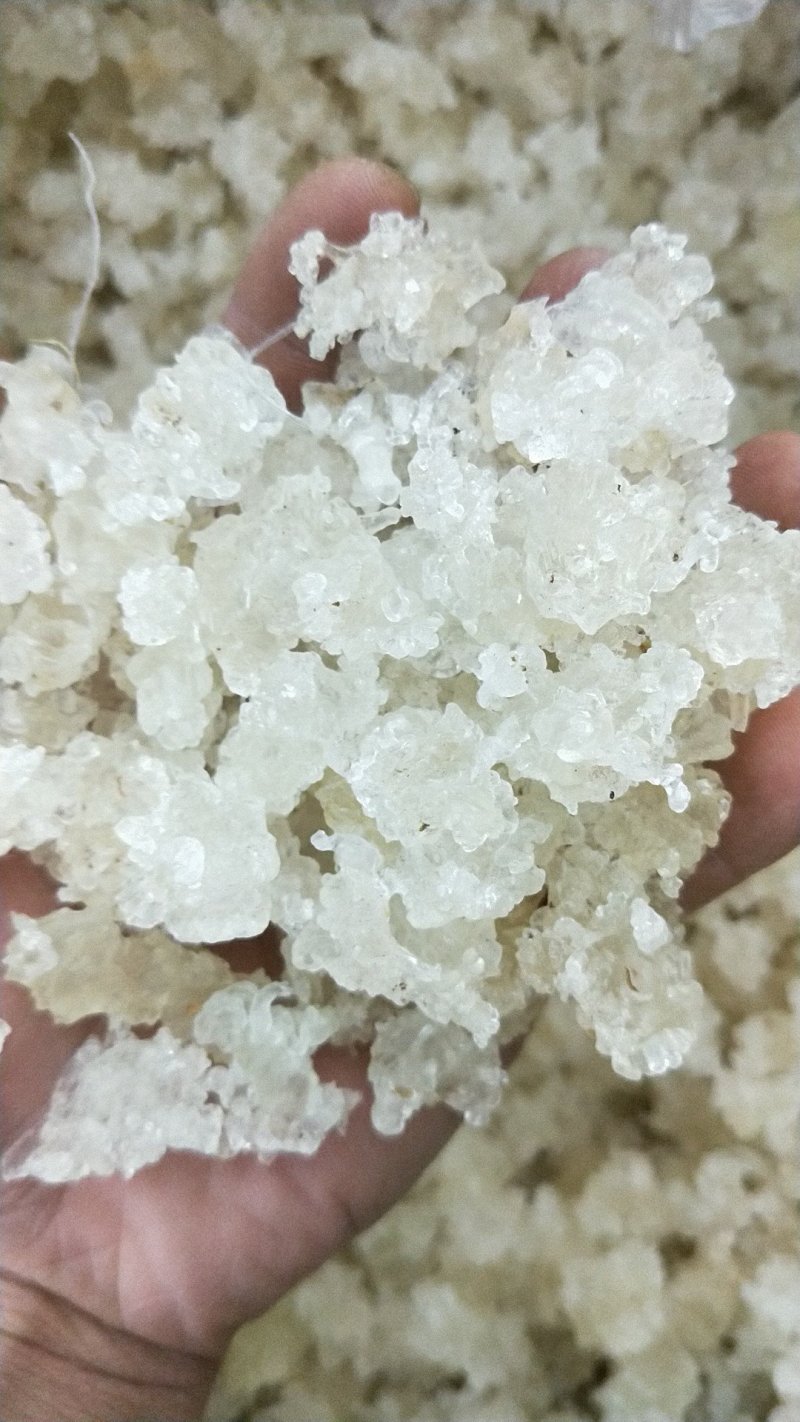 缅甸拉丝雪燕雪燕大货批发50公斤起发散称加3元