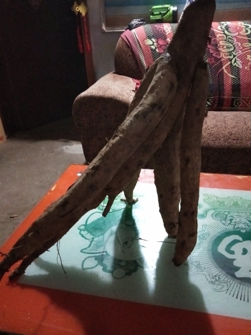 葛片