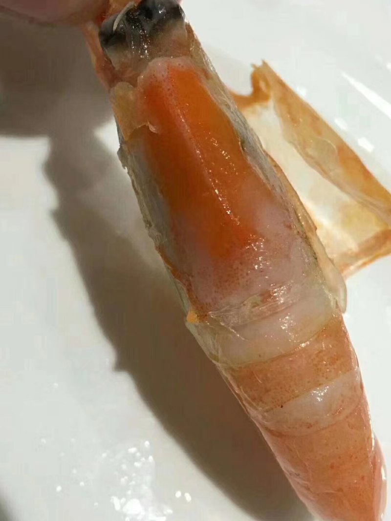 90/120北极虾