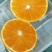 黄果柑酸甜水果阳光味道
