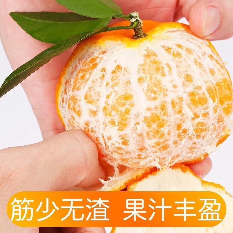 沃柑