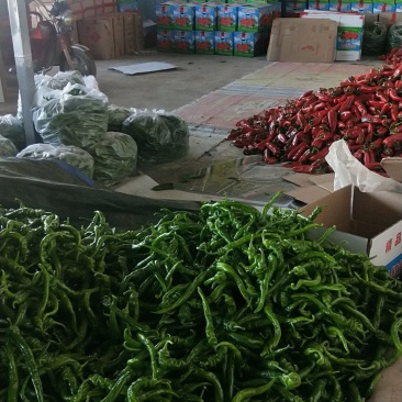 尖红椒，螺丝椒，圆红，树椒