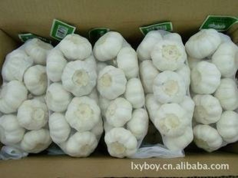 大蒜、蒜米、红皮大蒜、蒜米料产地发货、可以加工各种包装。