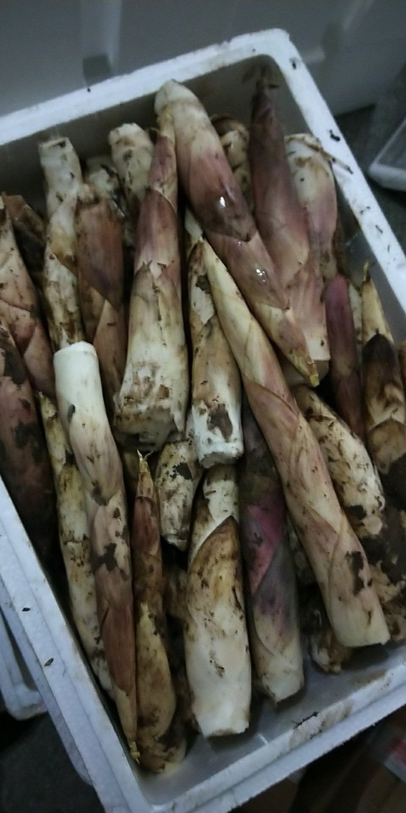 临安天目新鲜竹笋雷竹笋龙康竹笋中号五斤一箱包邮