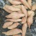 济薯26红薯，基地，货源充足济薯26、红香蕉