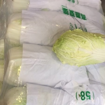 常年代收代发各种精品叶菜，上海青，奶油白菜，油麦菜，大白
