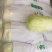 常年代收代发各种精品叶菜，上海青，奶油白菜，油麦菜，大白