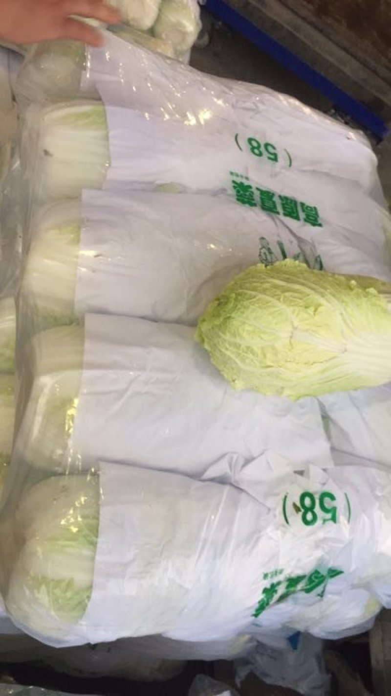 常年代收代发各种精品叶菜，上海青，奶油白菜，油麦菜，大白